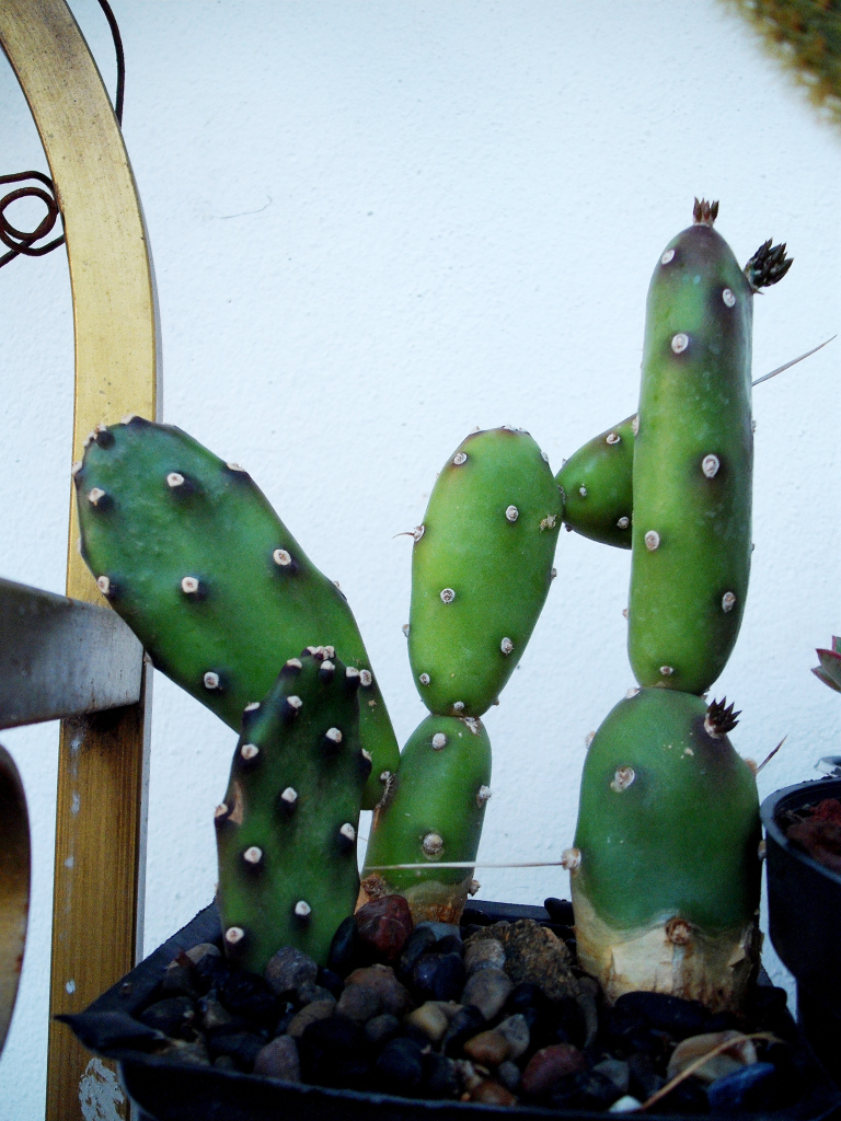DSCF1360.jpg