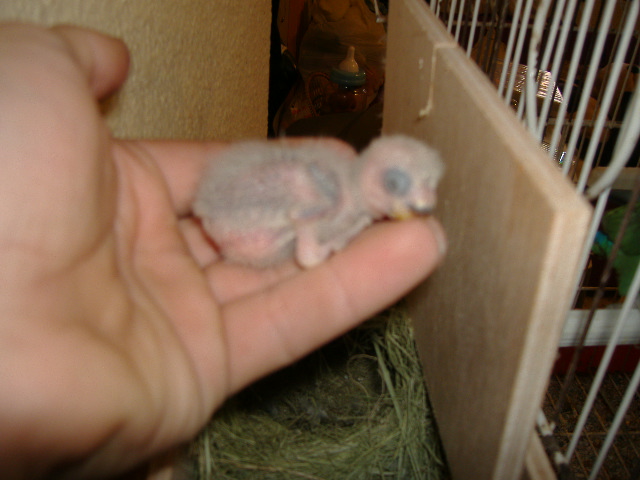 DSCF1411.JPG