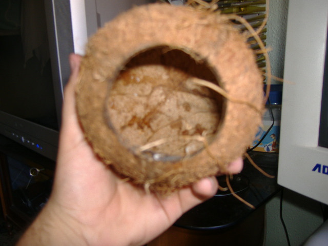 DSCF1433.JPG