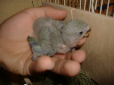 DSCF1439.JPG
