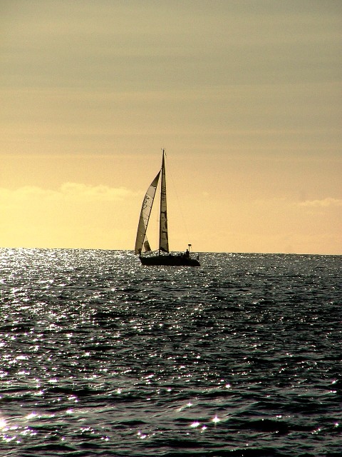 dscf1461yx0.jpg