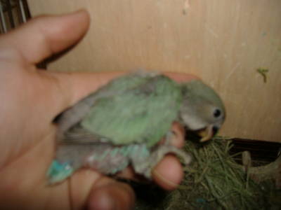 DSCF1462.JPG