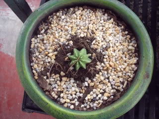 DSCF1467.jpg