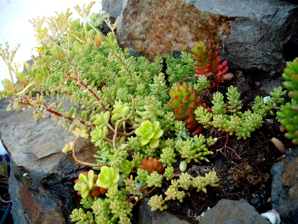 DSCF1473.jpg