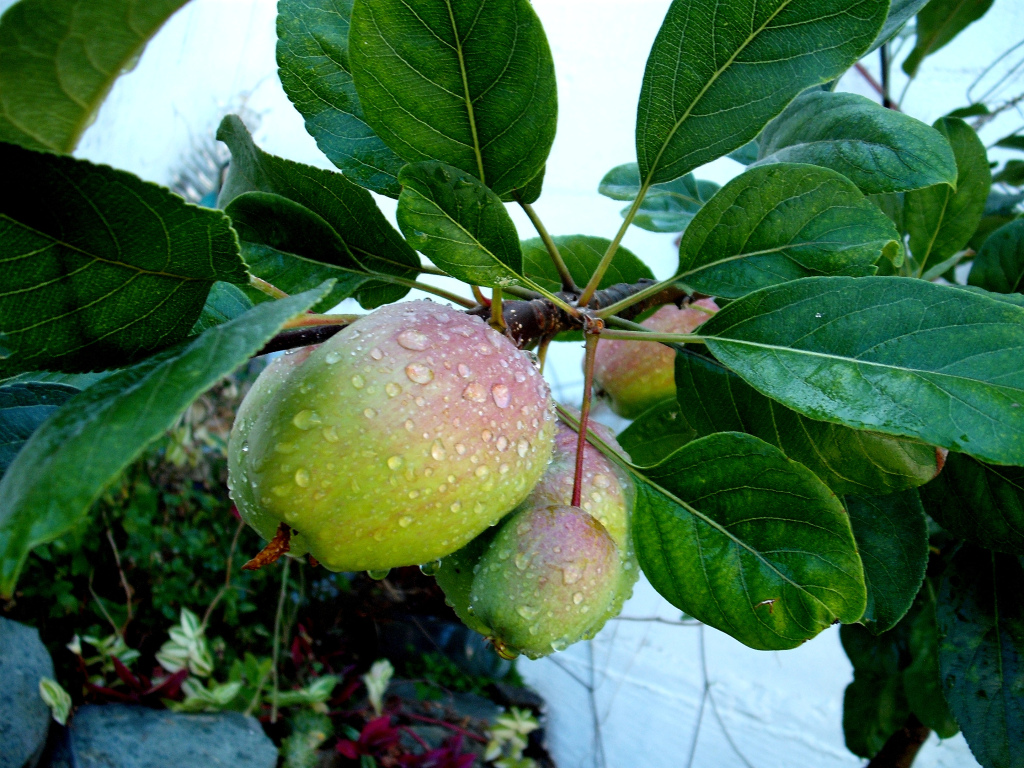 DSCF1475.jpg