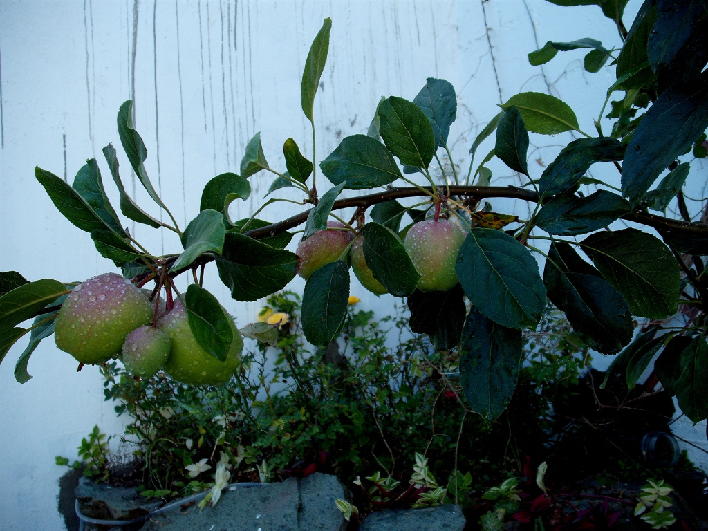 DSCF1476.jpg