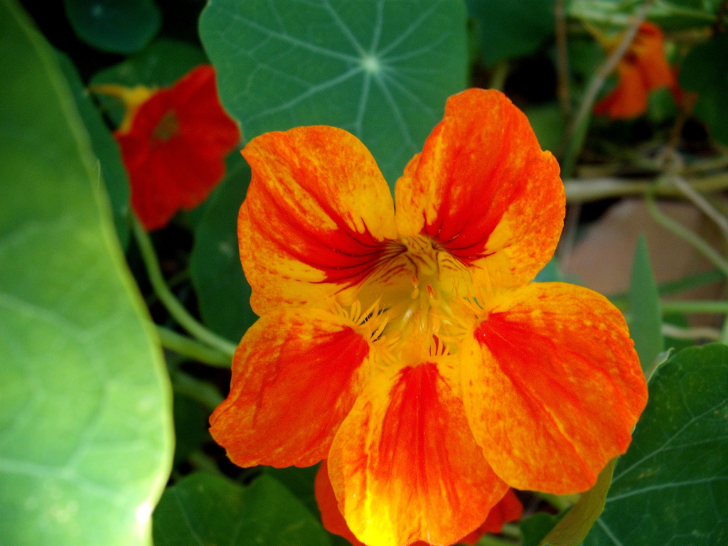 DSCF1487.jpg