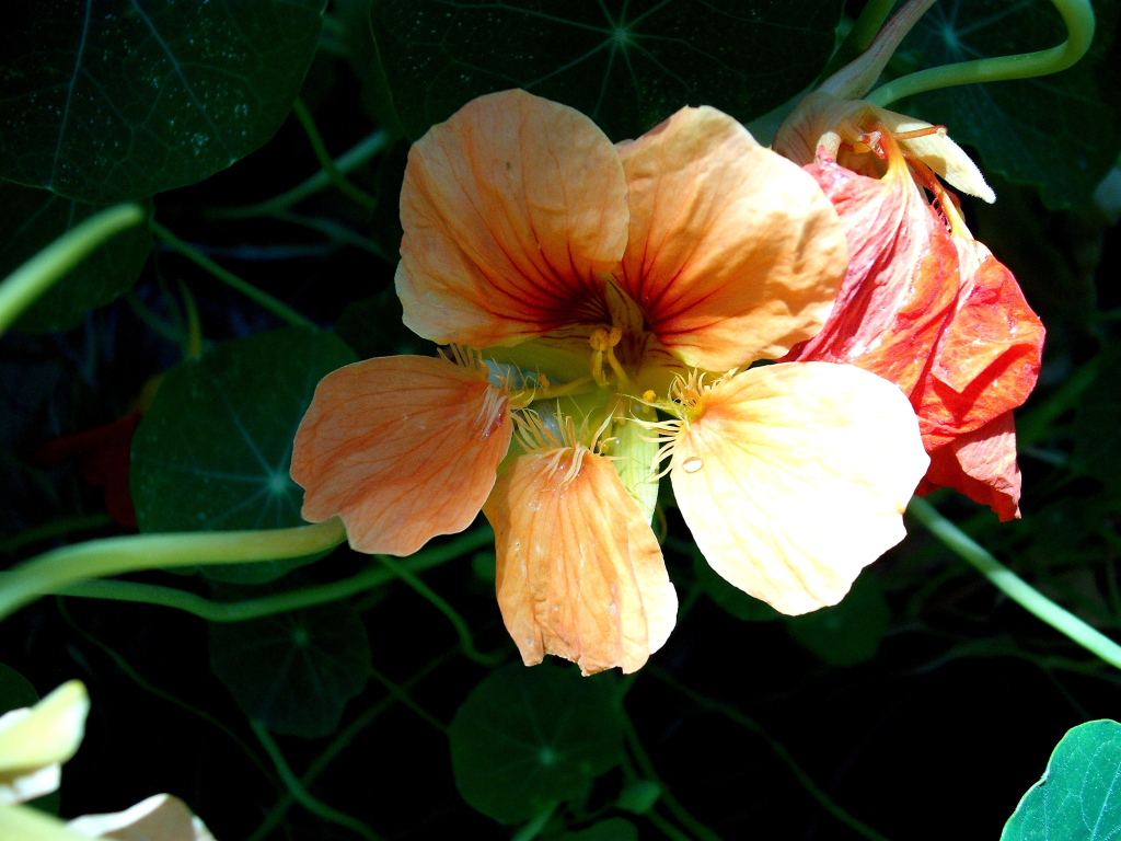 DSCF1489.jpg