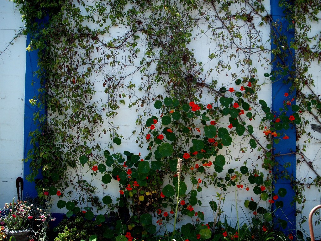 DSCF1490.jpg