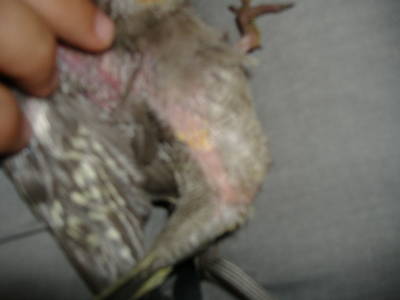 DSCF1501.JPG