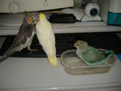 DSCF1504.JPG