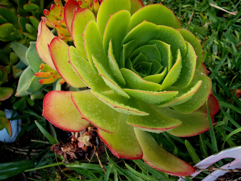 DSCF1544.jpg
