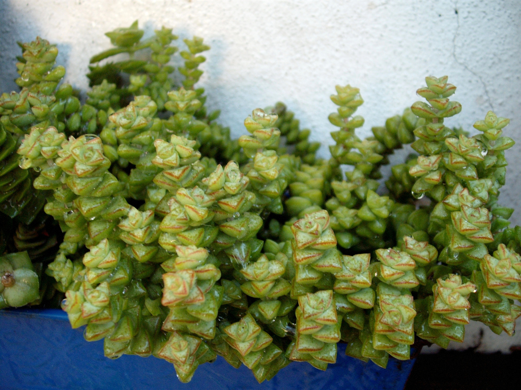 DSCF1554.jpg