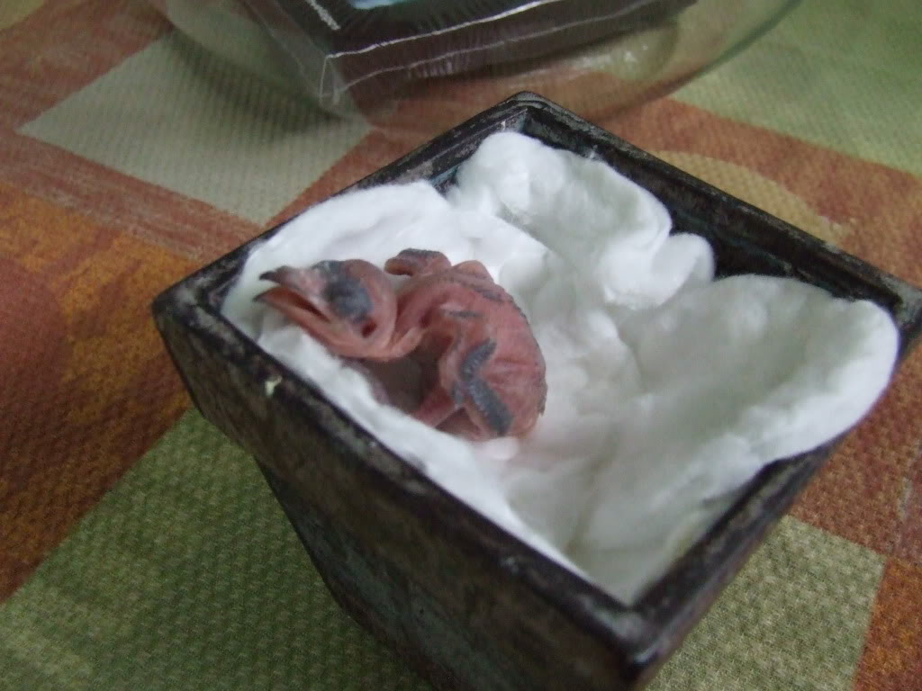DSCF1558.jpg