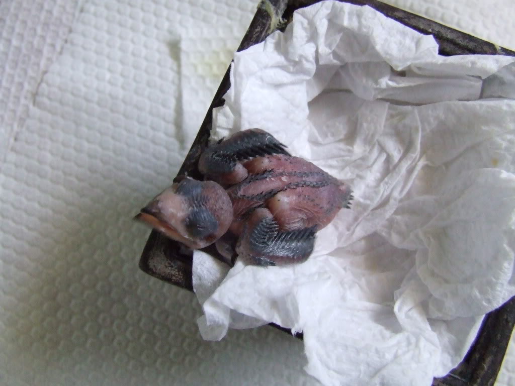 DSCF1560.jpg
