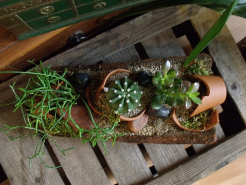 dscf1605.jpg