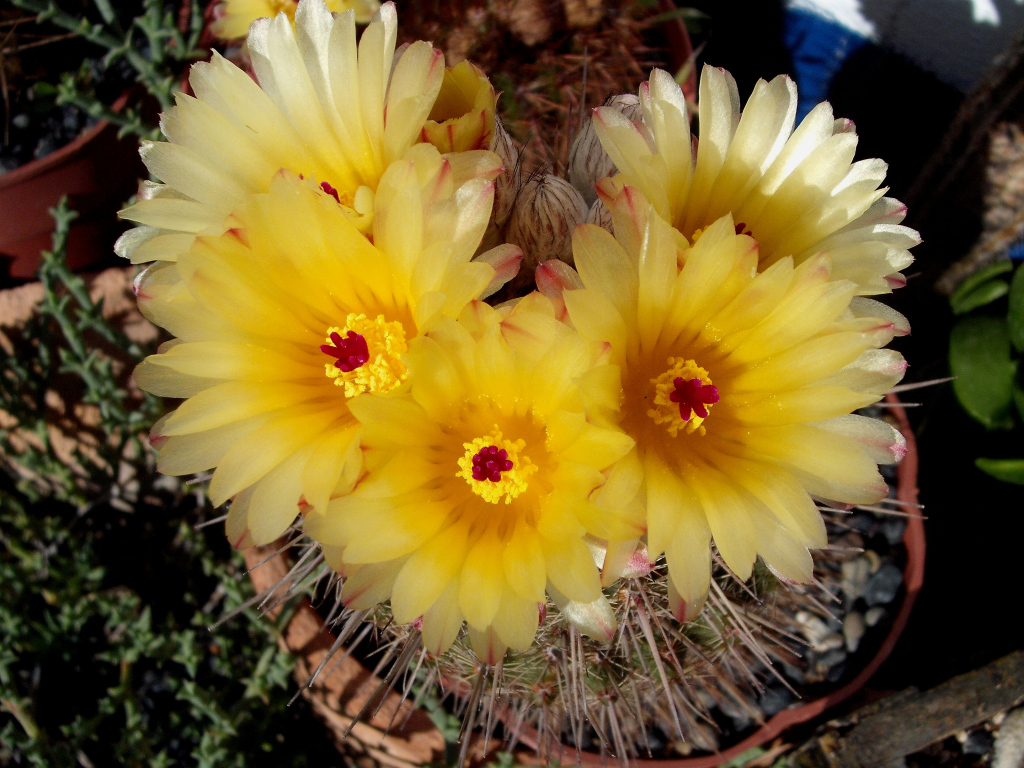 DSCF1625.jpg