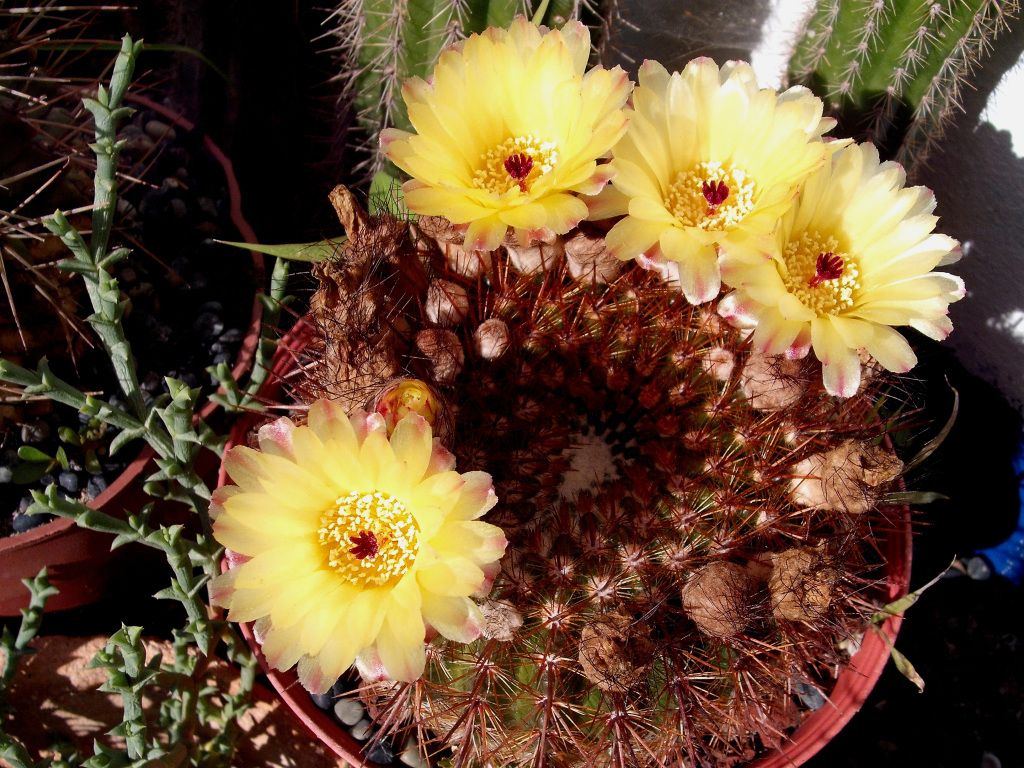 DSCF1627.jpg