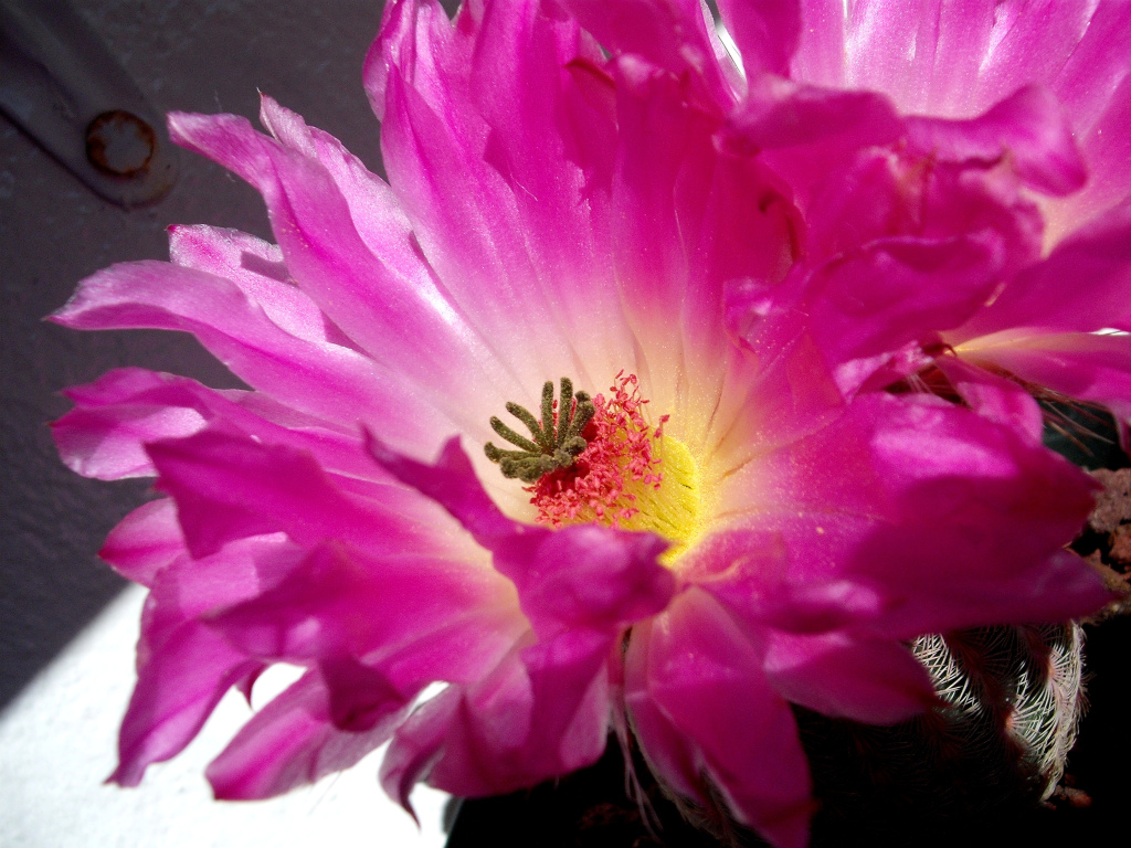 DSCF1634.jpg