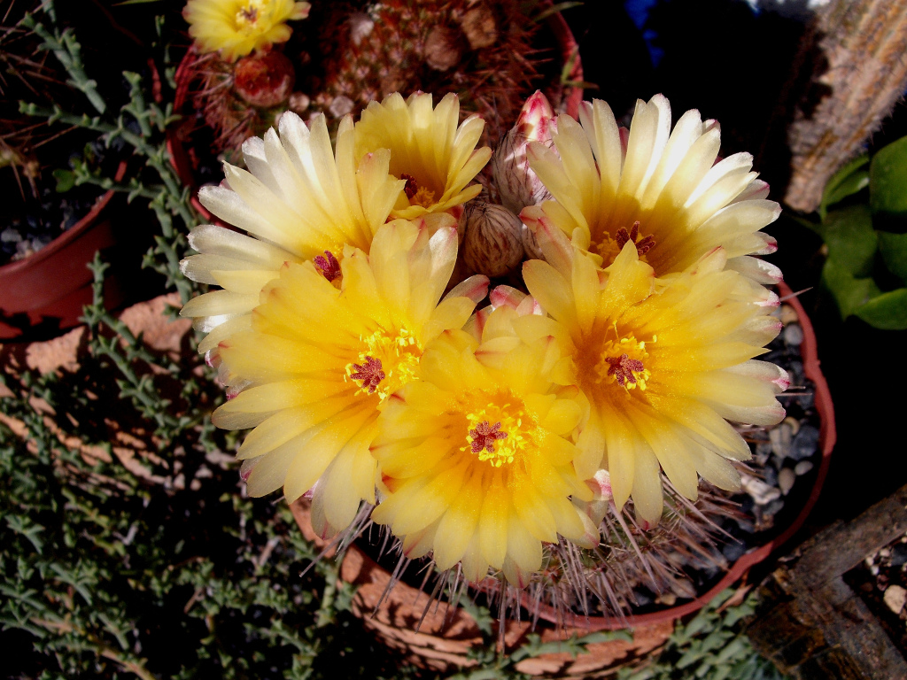 DSCF1637.jpg