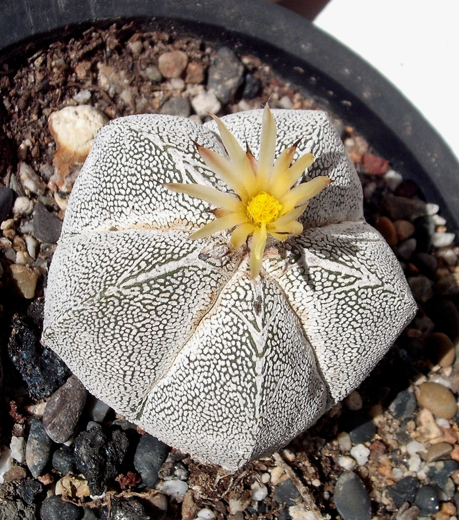 DSCF1641.jpg