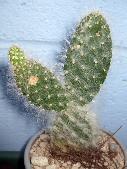 DSCF1679.jpg