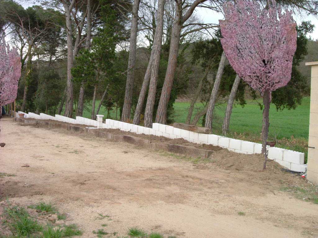 DSCF1704a.jpg