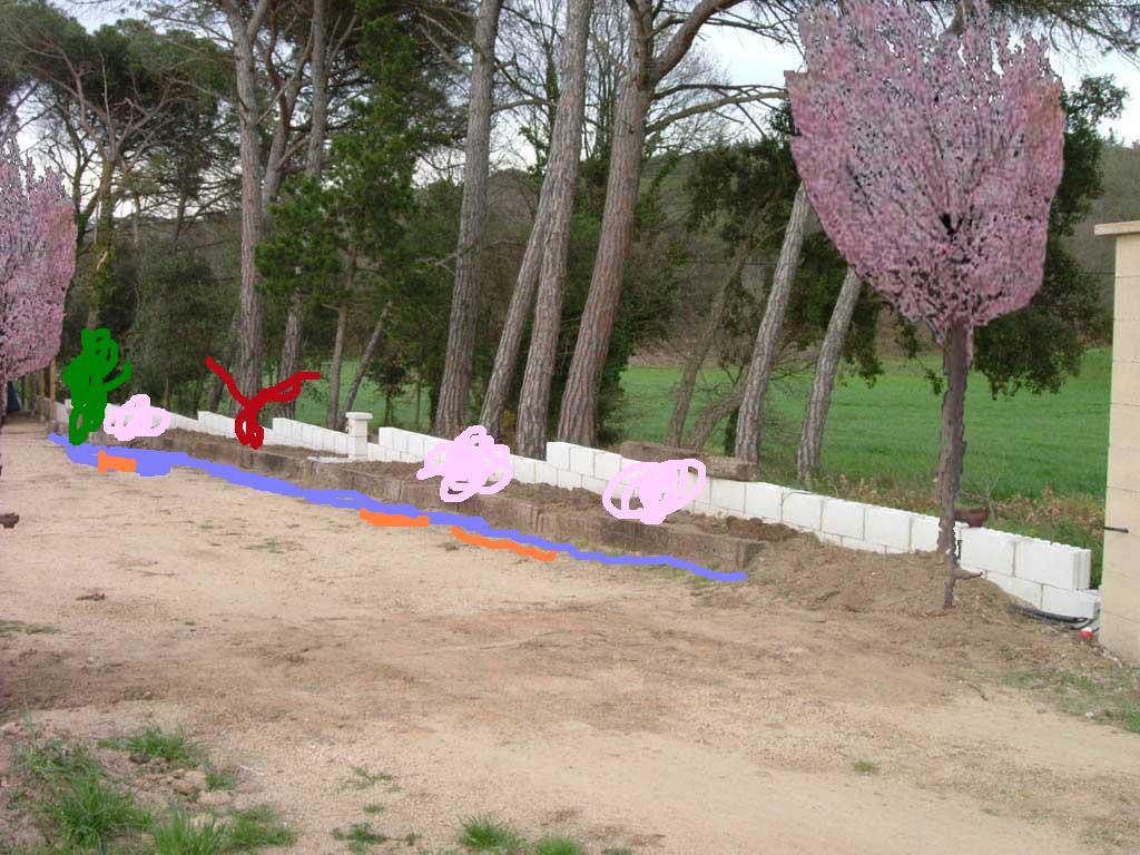 DSCF1704b.JPG