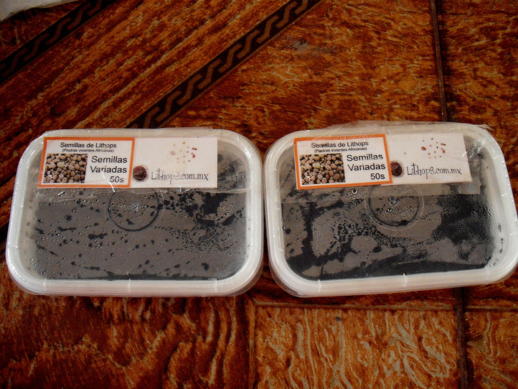 DSCF1714.jpg