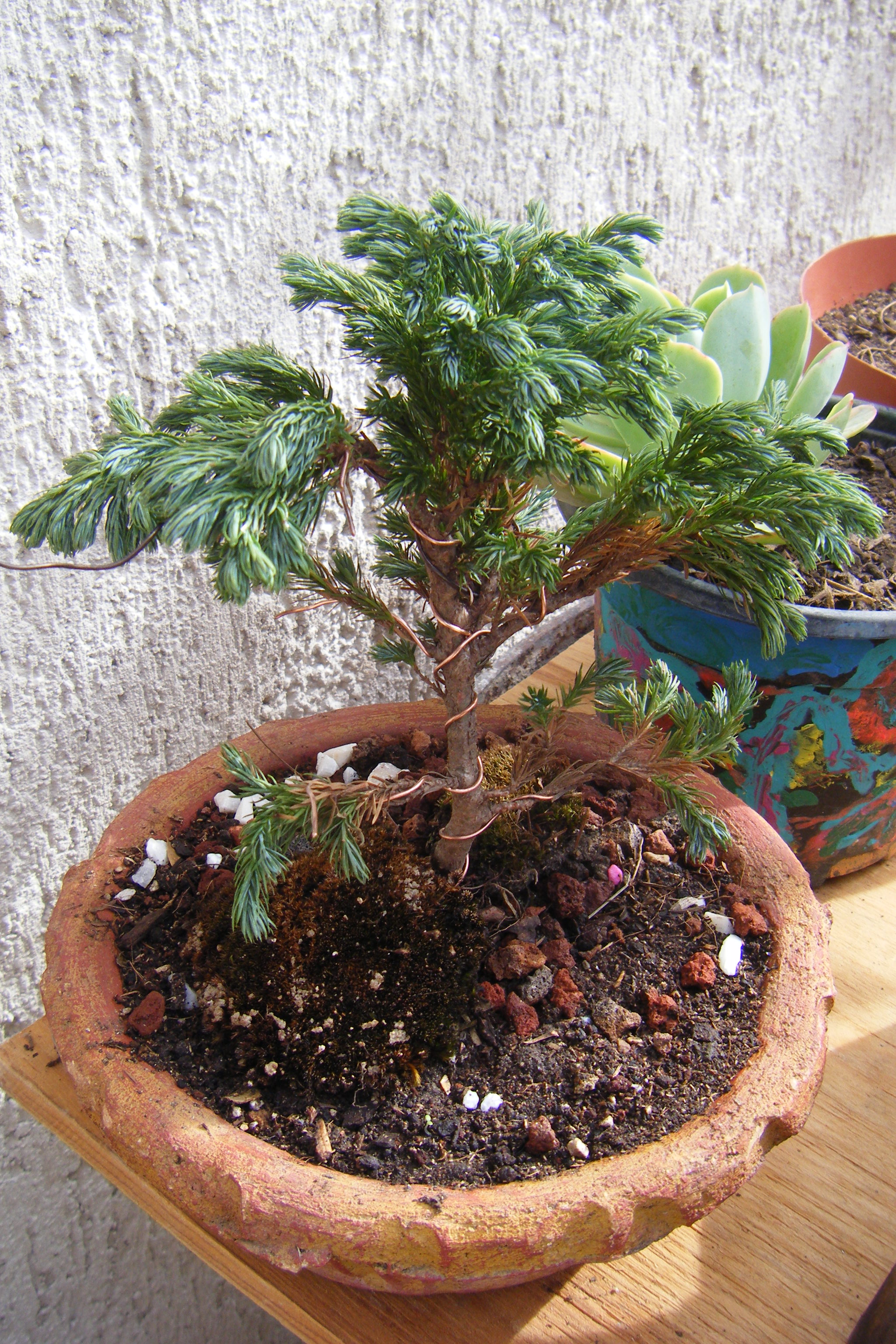 DSCF1727.JPG