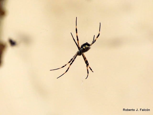 DSCF1744.JPG