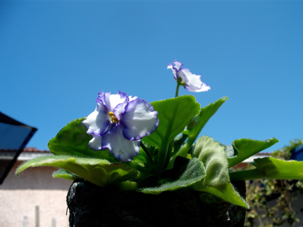 DSCF1746.jpg