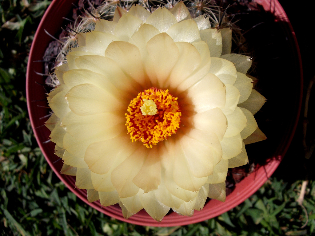 DSCF1807.jpg