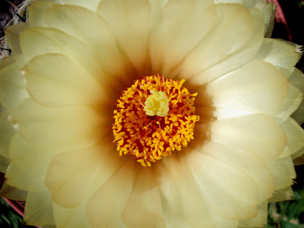 DSCF1808.jpg