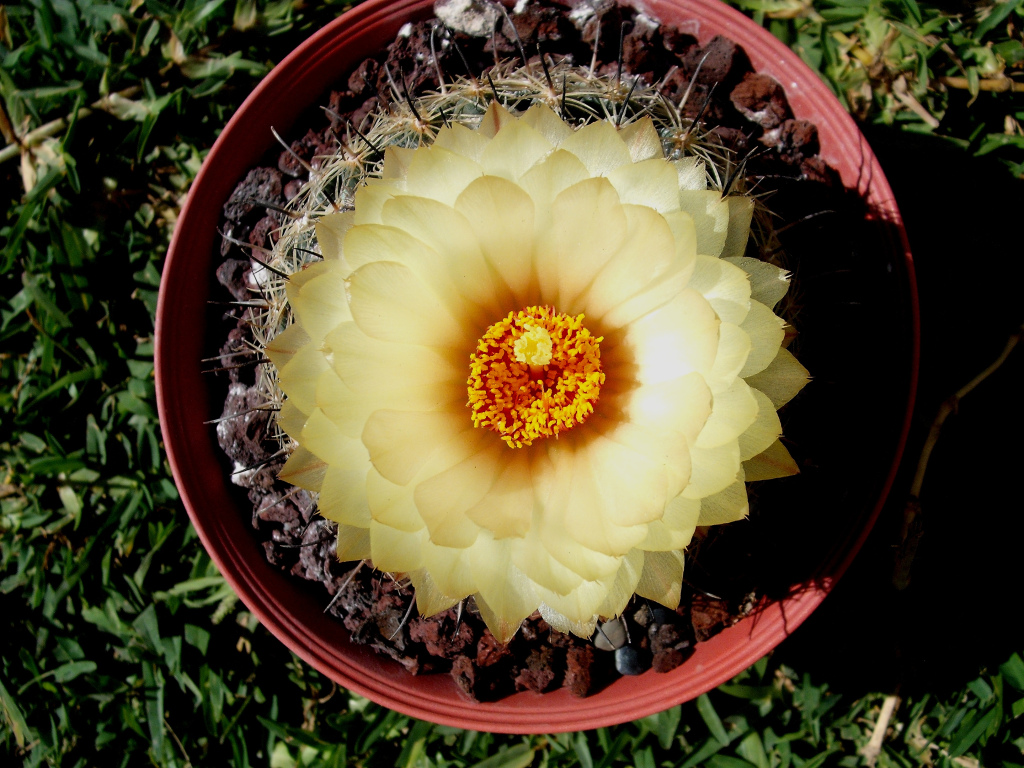 DSCF1809.jpg