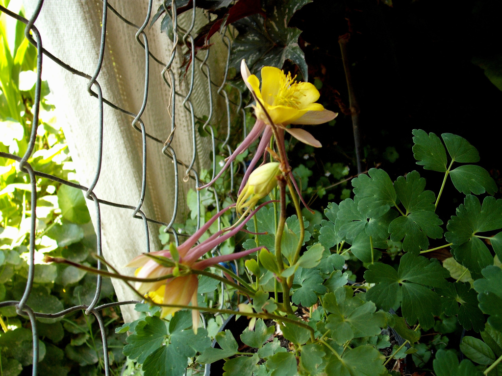 DSCF1850.jpg