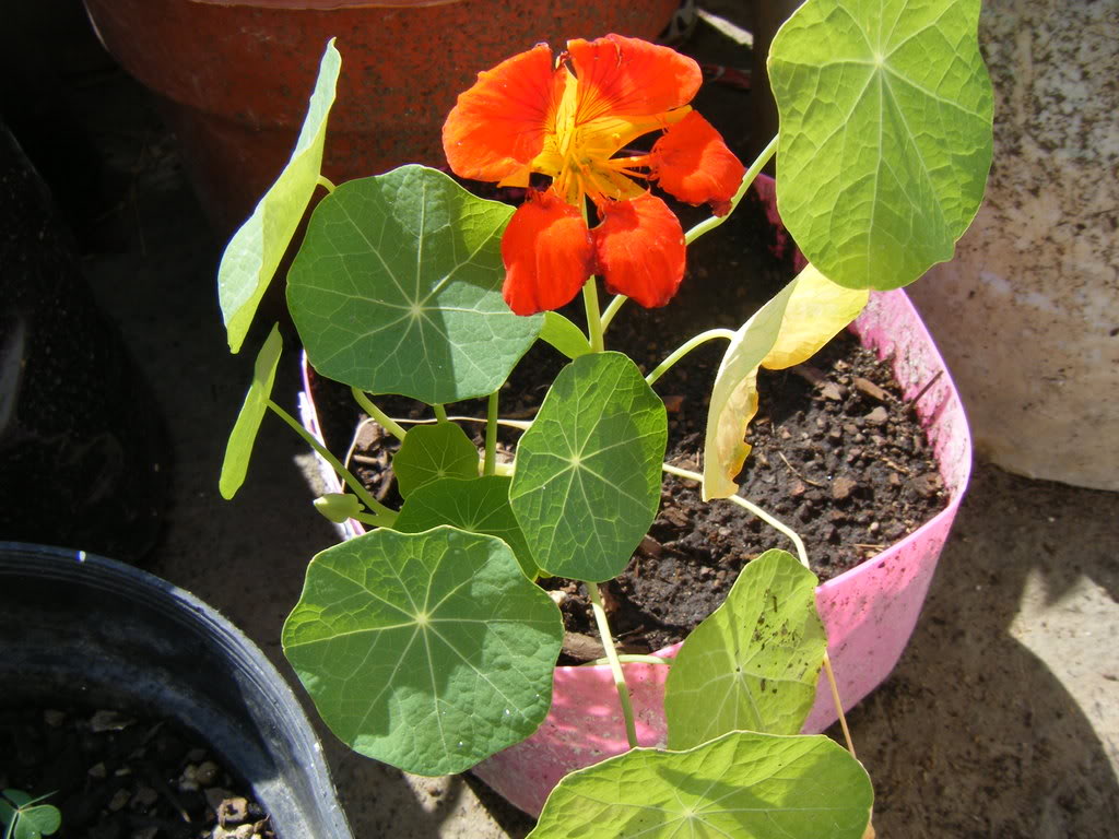 DSCF1856.jpg