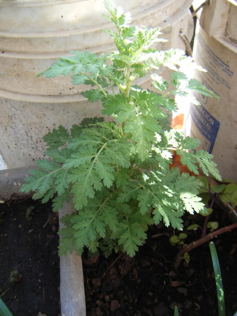 DSCF1857.jpg