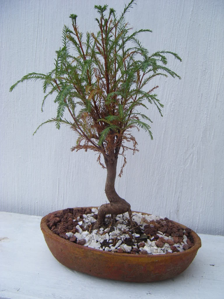 DSCF1859.jpg
