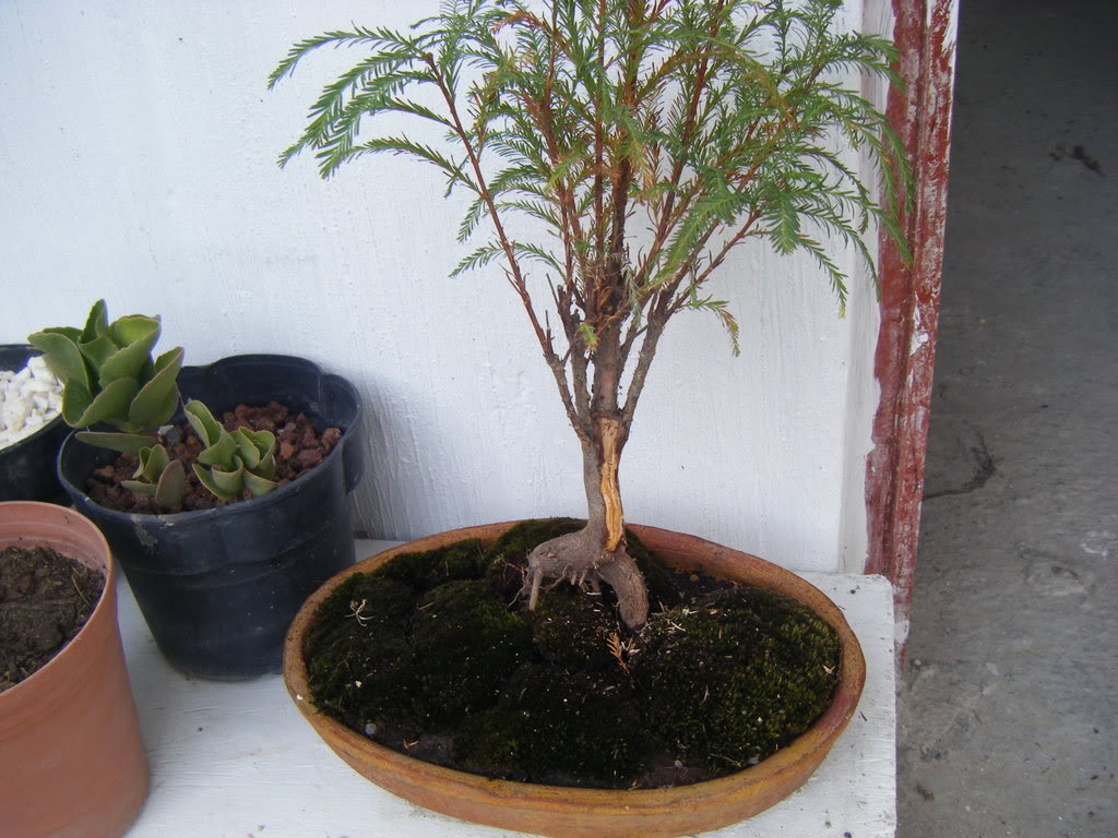 DSCF1872.jpg