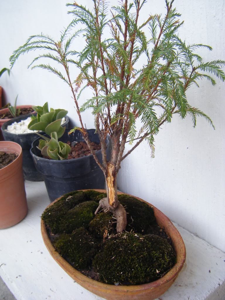 DSCF1873.jpg