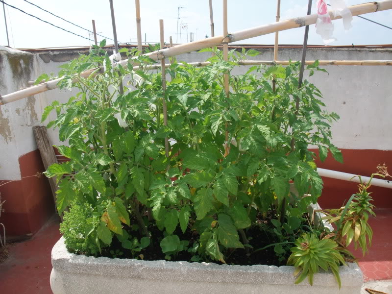 DSCF1935.jpg