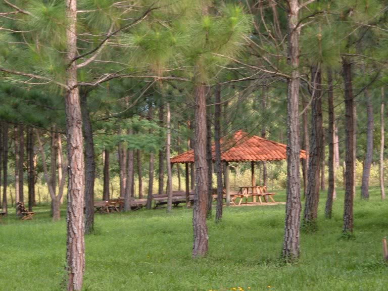 DSCF2023.jpg