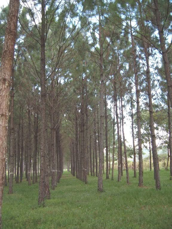 DSCF2033.jpg