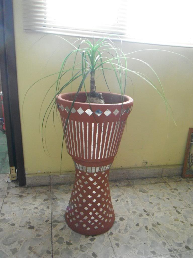 DSCF2036_zpsa95f593d.jpg