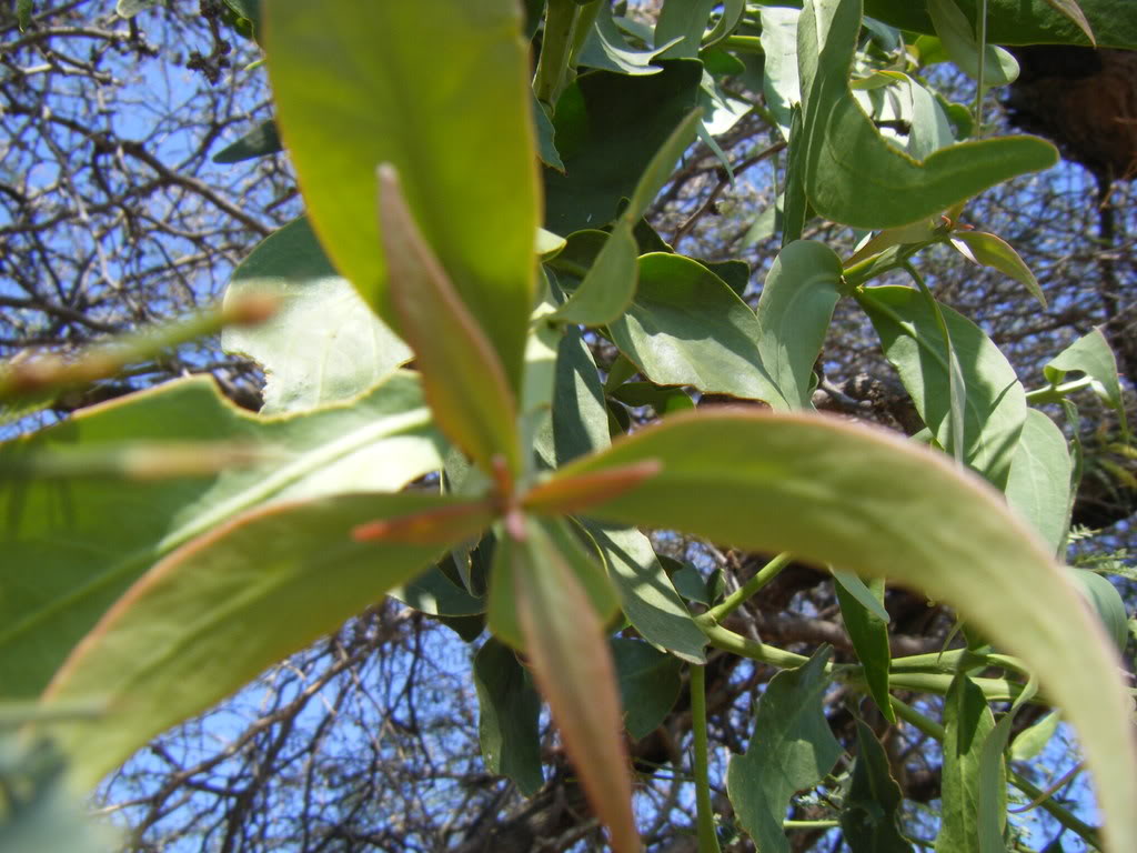 DSCF2046.jpg