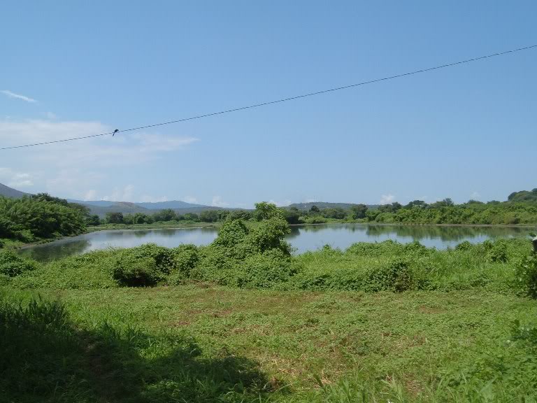 DSCF2061-1.jpg