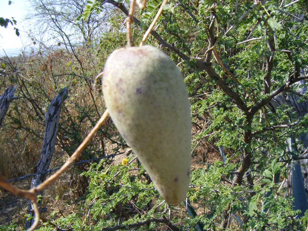 DSCF2061.jpg