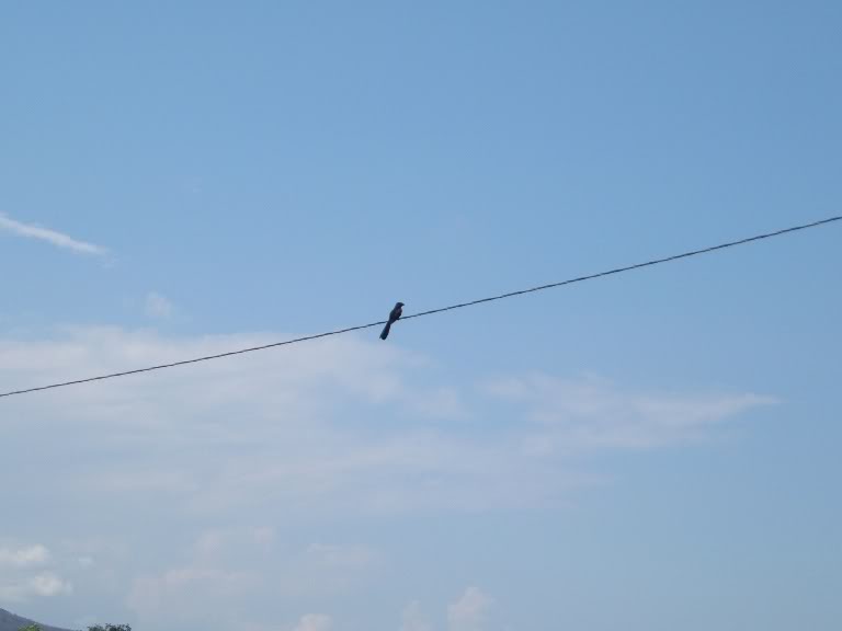 DSCF2063.jpg