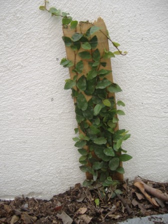DSCF2094.JPG